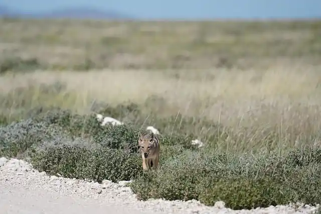 몸캠피싱해결 시 절대 해서는 안 되는 치명적인 실수